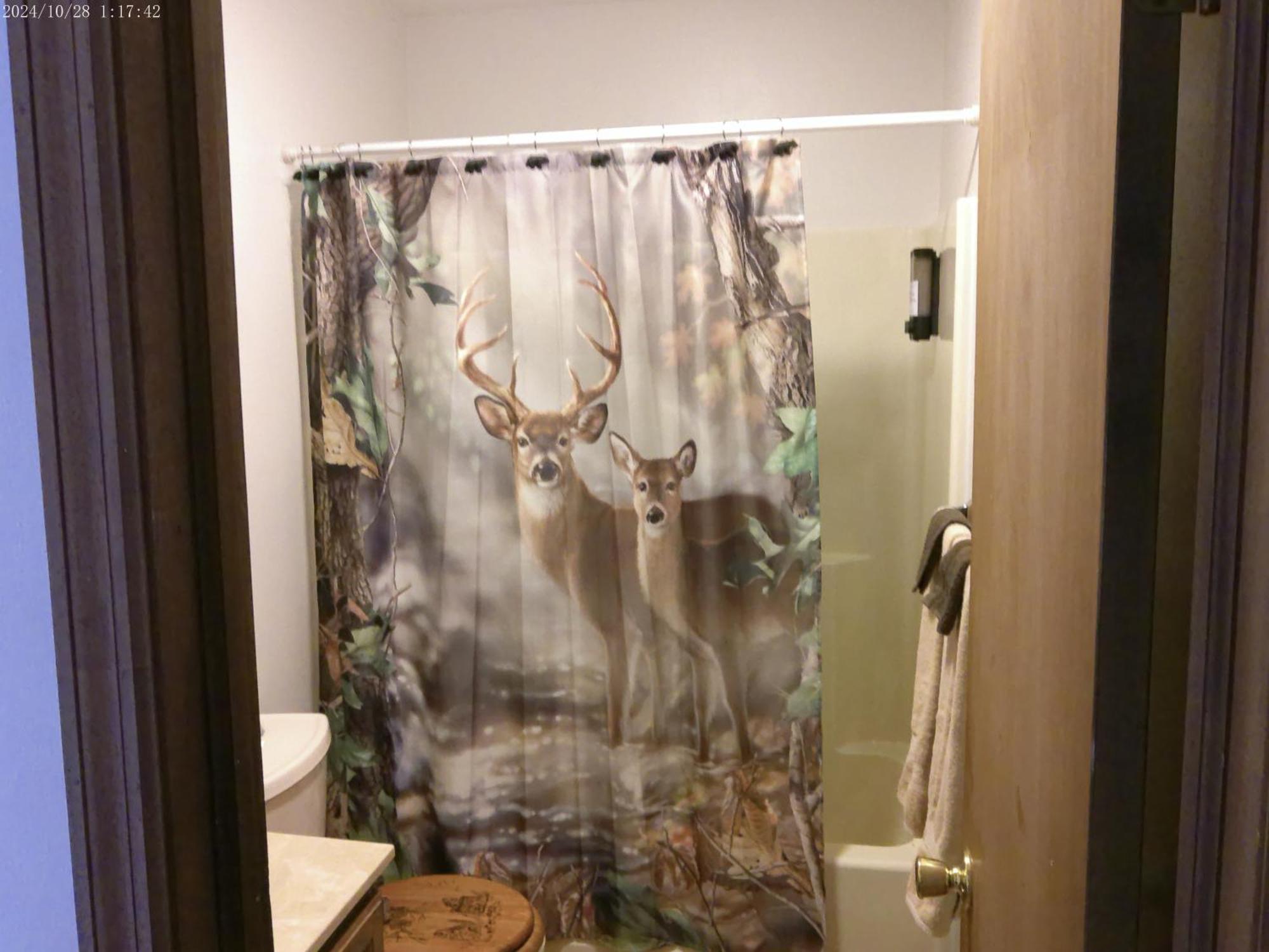 Serenity And Fun All In One In This Cozy Pocono Cabin Jim Thorpe Εξωτερικό φωτογραφία