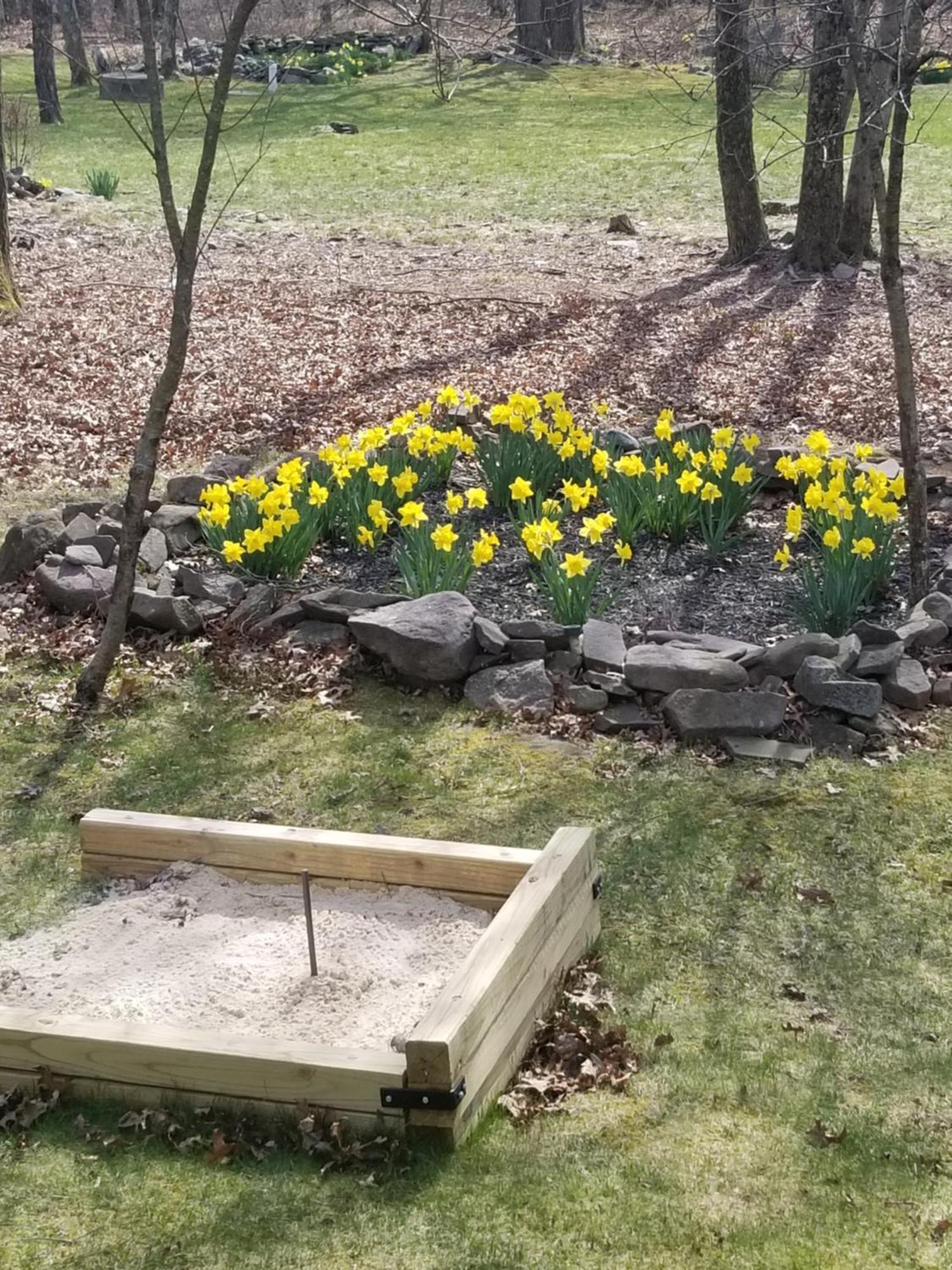 Serenity And Fun All In One In This Cozy Pocono Cabin Jim Thorpe Εξωτερικό φωτογραφία